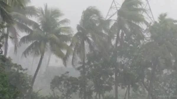 ঢাকাসহ ১৪ জেলায় কালবৈশাখী ঝড় ও বজ্রসহ বৃষ্টির সতর্কতা