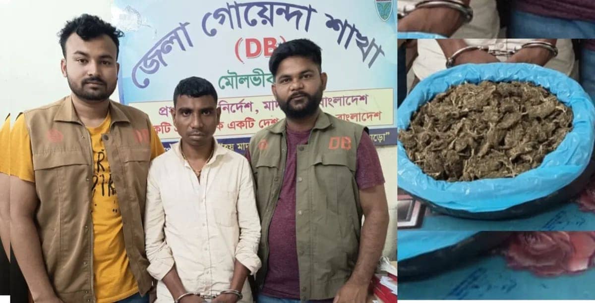 কুলাউড়ায় ডিবির অভিযানে গাঁজাসহ এক ব্যক্তি আটক